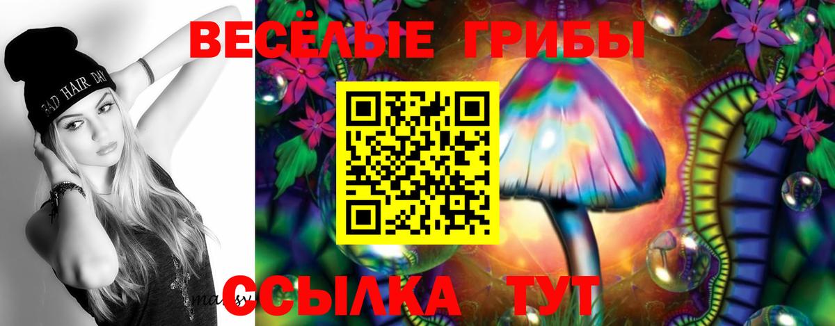 Псилоцибиновые грибы прущие грибы  Вход с VPN  Таганрог 